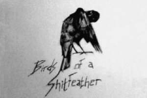 Link to The Bangshow – Birds of a Shitfeather TEASER