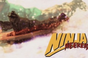 Link to Ninja Weekend #8 – Flippin‘ for no Reason