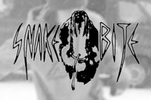Link to KBR: Snake Bite – Quick B-Roll Fix
