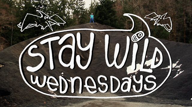 Stay Wild Wednesdays – episode #11