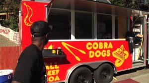 Cobra Dogs - Senior Ween Team